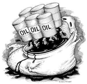 Oil